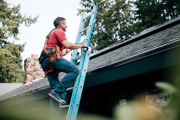 Best Rubber Roofing (EPDM, TPO)  in White Mountain Lake, AZ